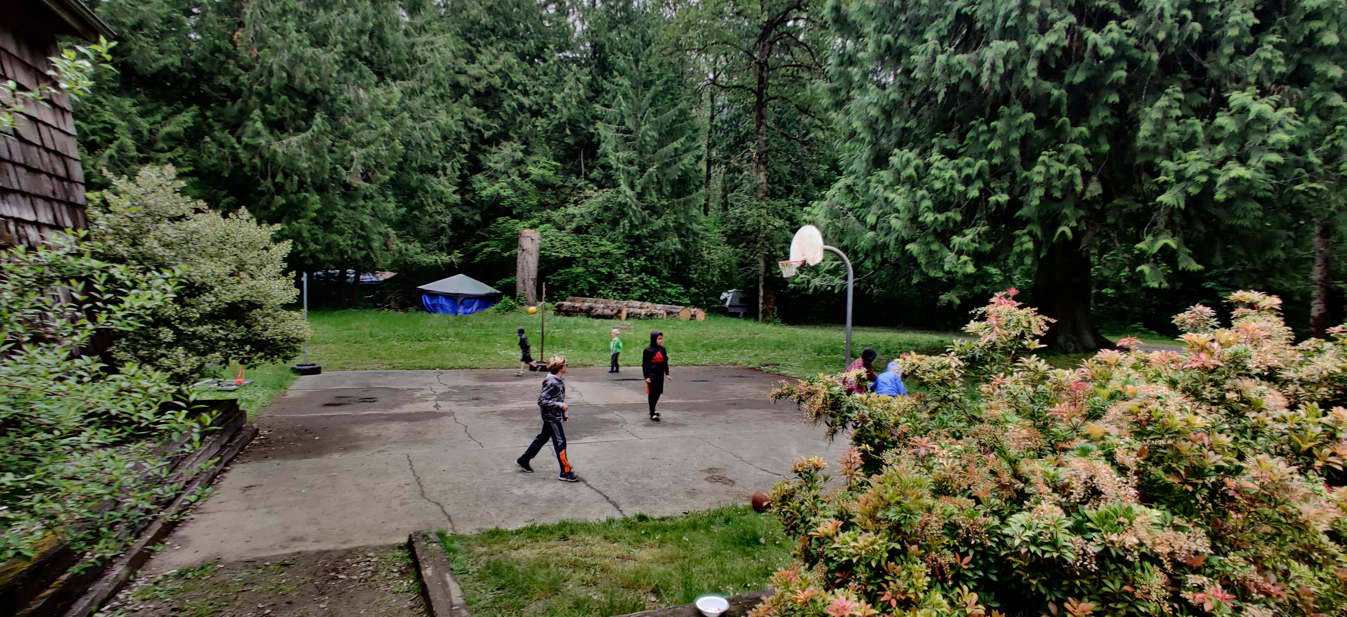 Camping near Gifford Pinchot National Forest Cat Creek Campground: Cascade Peaks Family Camping, Packwood, Washington