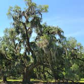 Review photo of Fontainebleau State Park Campground by Cat R., May 23, 2020
