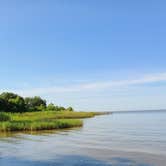 Review photo of Fontainebleau State Park Campground by Cat R., May 23, 2020