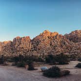 Review photo of Indian Cove Campground — Joshua Tree National Park by Heather L., May 23, 2020