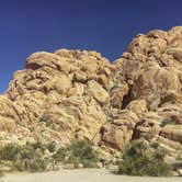 Review photo of Indian Cove Campground — Joshua Tree National Park by Heather L., May 23, 2020