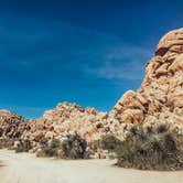 Review photo of Indian Cove Campground — Joshua Tree National Park by Heather L., May 23, 2020