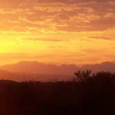 Review photo of Catalina State Park Campground by Amber A., June 30, 2016
