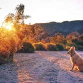 Review photo of Indian Cove Campground — Joshua Tree National Park by Heather L., May 23, 2020