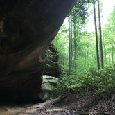 Review photo of Pickett CCC Memorial State Park Campground by Bryan  R., July 9, 2018