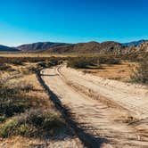 Review photo of Blair Valley Primitive Campground — Anza-Borrego Desert State Park by Heather L., May 23, 2020