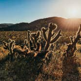 Review photo of Blair Valley Primitive Campground — Anza-Borrego Desert State Park by Heather L., May 23, 2020