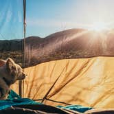 Review photo of Blair Valley Primitive Campground — Anza-Borrego Desert State Park by Heather L., May 23, 2020