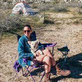 Review photo of Blair Valley Primitive Campground — Anza-Borrego Desert State Park by Heather L., May 23, 2020