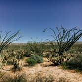 Review photo of Blair Valley Primitive Campground — Anza-Borrego Desert State Park by Heather L., May 23, 2020