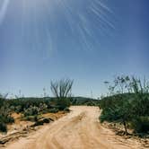 Review photo of Blair Valley Primitive Campground — Anza-Borrego Desert State Park by Heather L., May 23, 2020