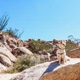 Review photo of Blair Valley Primitive Campground — Anza-Borrego Desert State Park by Heather L., May 23, 2020