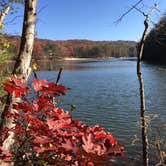 Review photo of Lake Cumberland State Resort Park by Lynn G., September 30, 2017