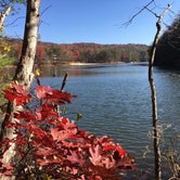 Review photo of Lake Cumberland State Resort Park by Lynn G., September 30, 2017