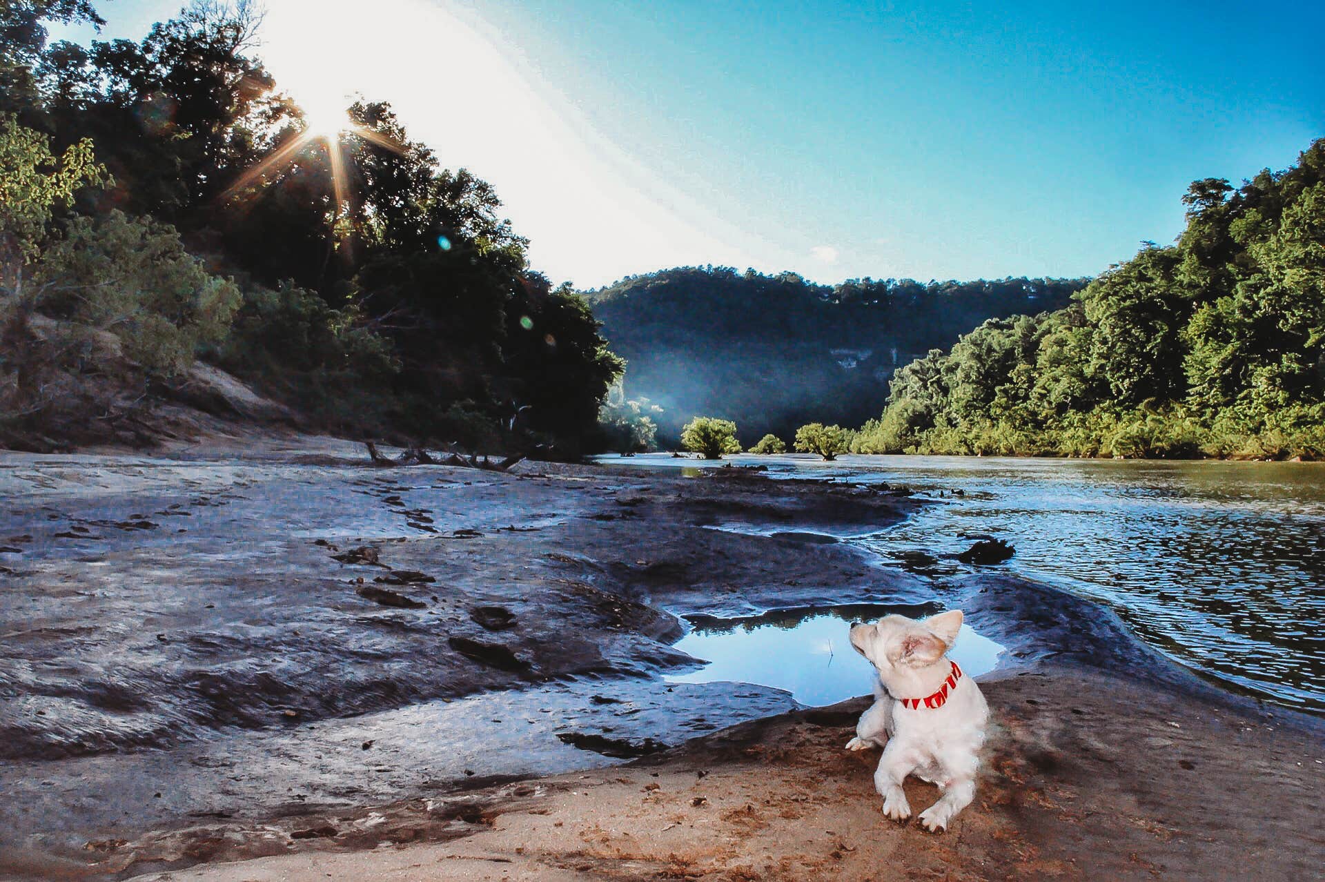 Heather L.'s photo of camping with pets at Buffalo Point — Buffalo National River near Mountain View, AR