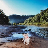 Review photo of Buffalo Point — Buffalo National River by Heather L., May 24, 2020