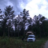 Review photo of Boondock Dispersed Camping Alabama by Dwight  L., May 24, 2020