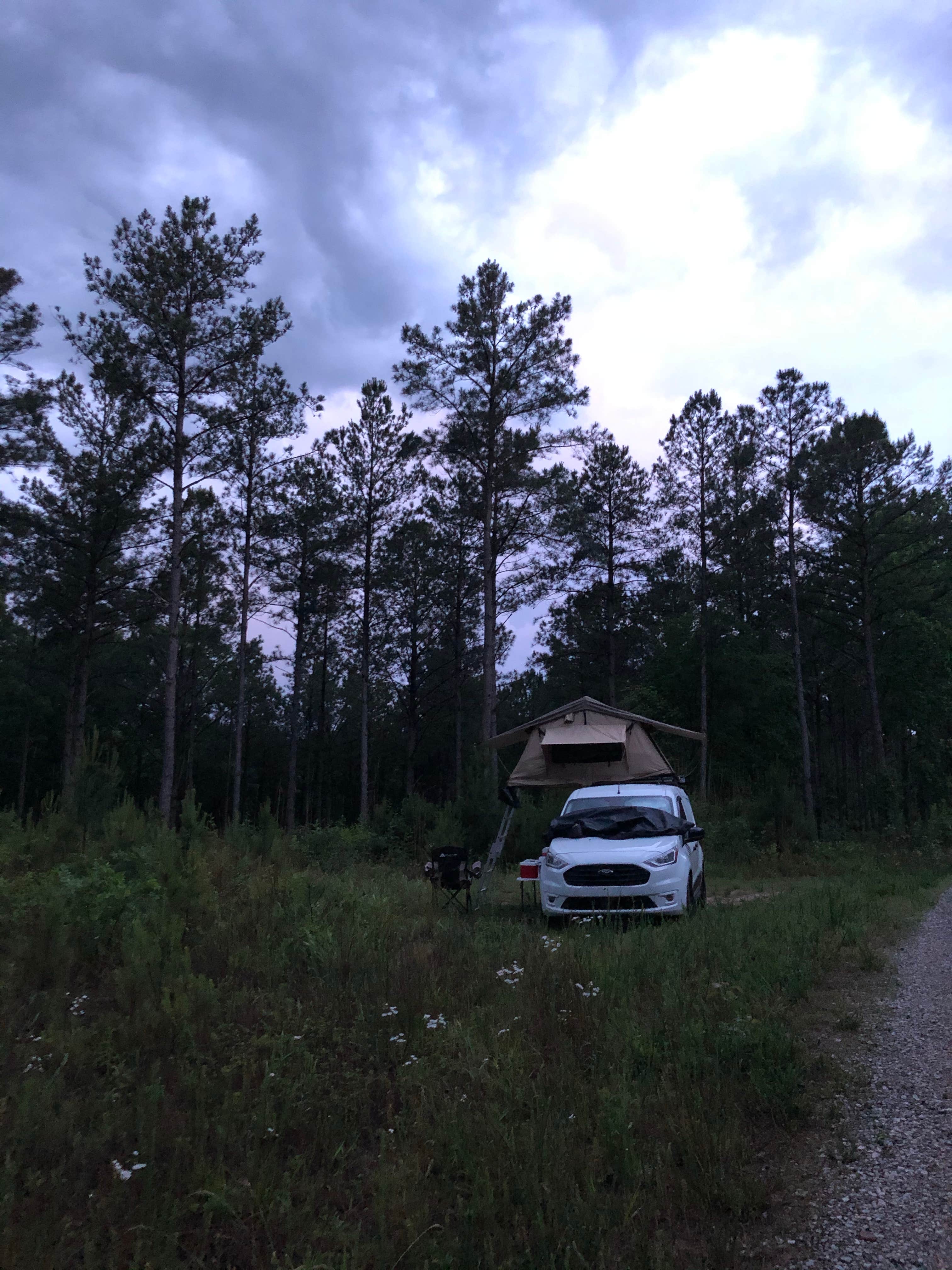 Camper submitted image from Boondock Dispersed Camping Alabama - 3