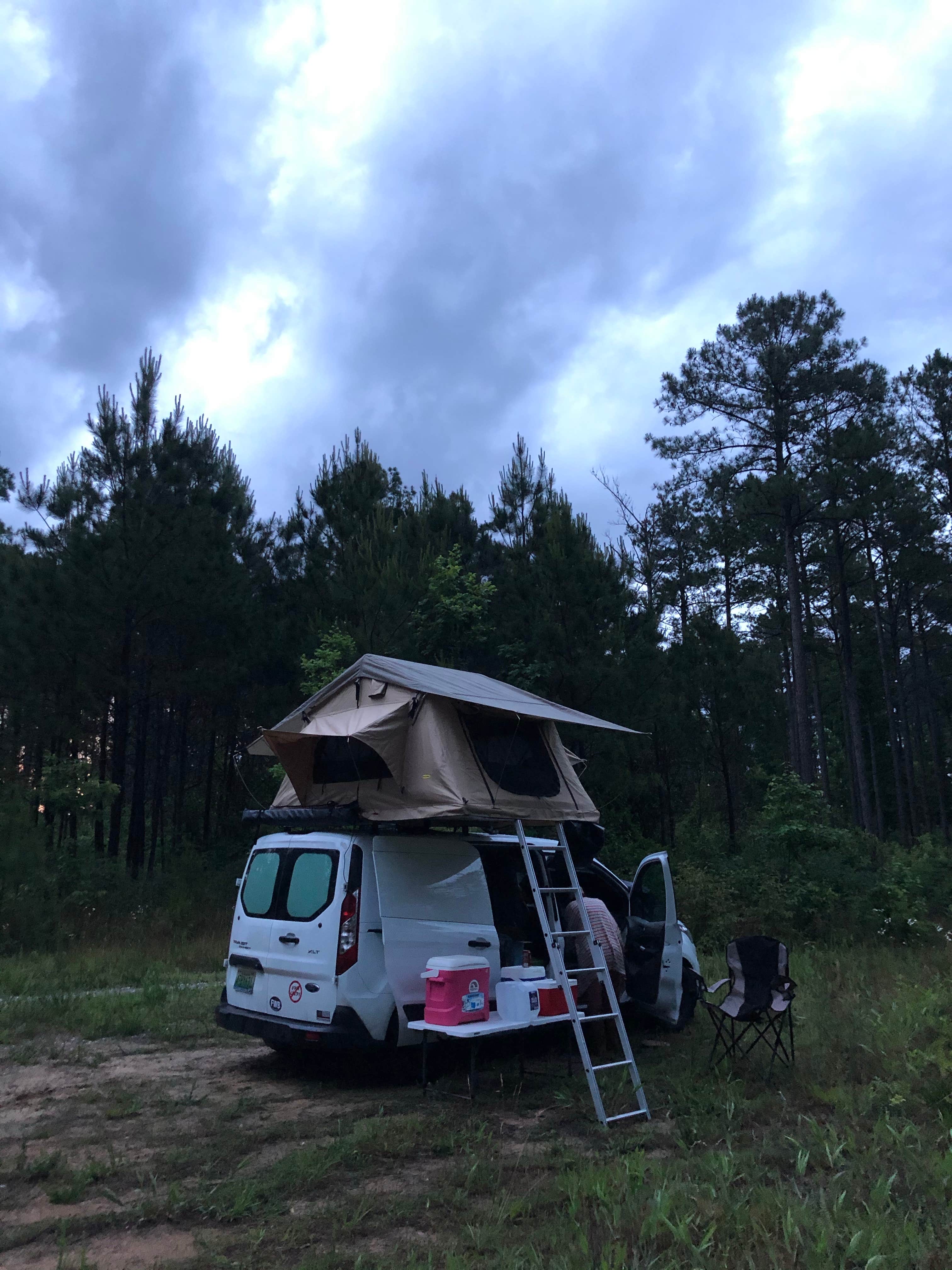 Dwight  L.'s photo at Boondock Dispersed Camping Alabama near Arley, AL