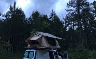 Dwight  L.'s photo at Boondock Dispersed Camping Alabama near Midway, AL