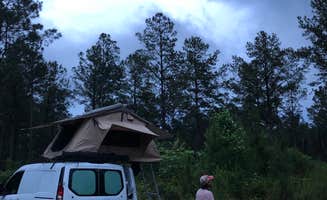 Dwight L.'s photo at Boondock Dispersed Camping Alabama near Double Springs, AL