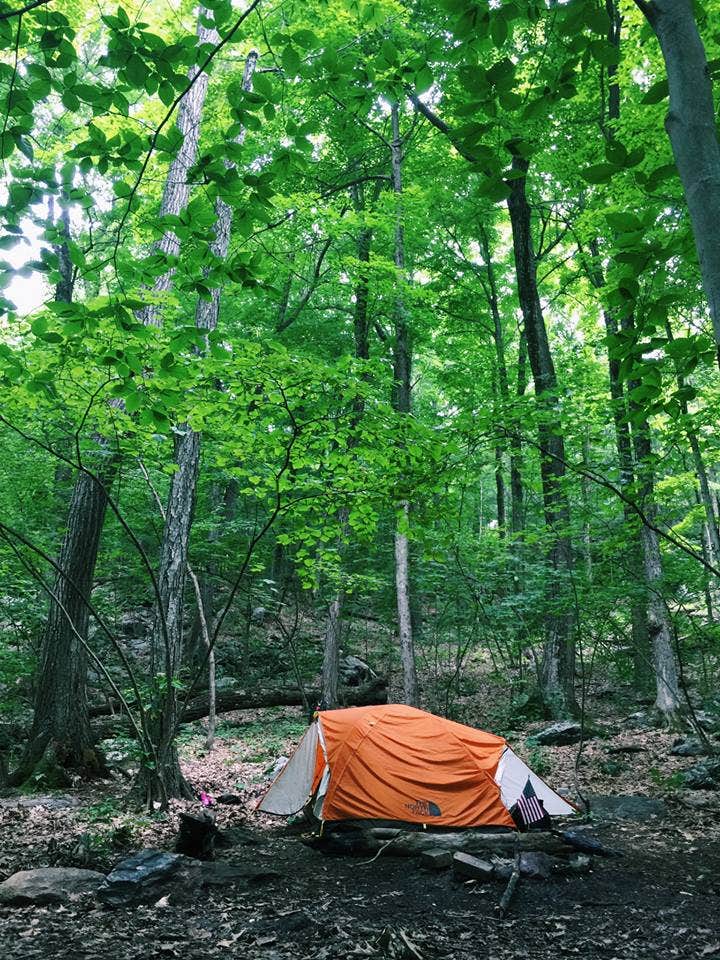 Lynn G.'s photo of tent camping at Paragon Dispersed Camping Area near Auxier, KY