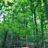 Review photo of Paragon Dispersed Camping Area by Lynn G., September 30, 2017