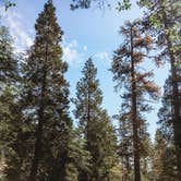 Review photo of Buckhorn Campground by Heather L., May 24, 2020