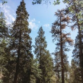 Review photo of Buckhorn Campground - Temporarily Closed by Heather L., May 24, 2020