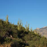 Review photo of Catalina State Park Campground by Amber A., June 30, 2016