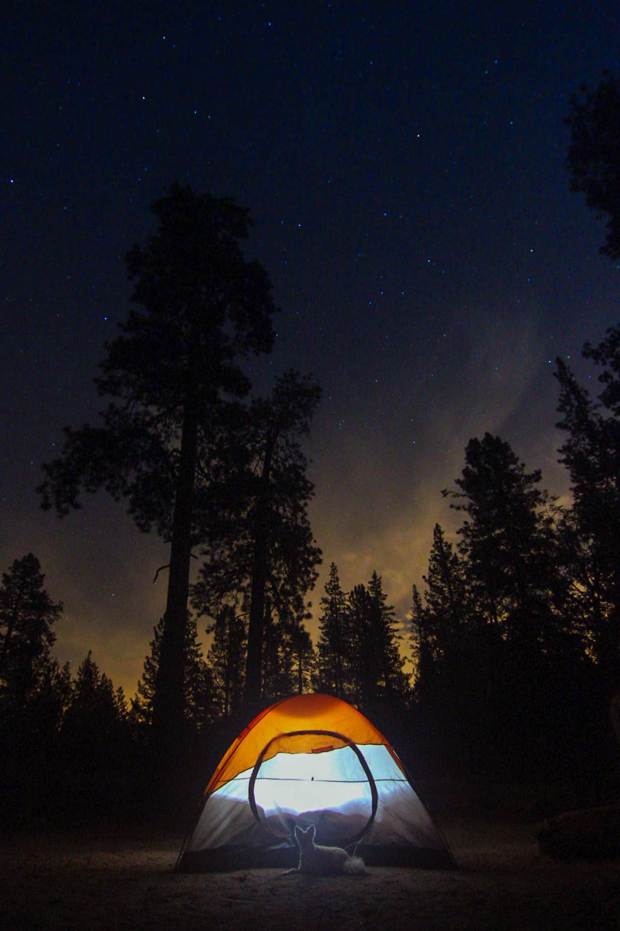 Heather L.'s photo at Buckhorn Campground near Valyermo, CA
