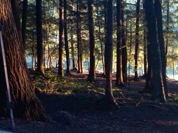 Ada Lake NF Campground | Lakewood, WI