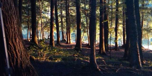 Camper submitted image from Ada Lake NF Campground