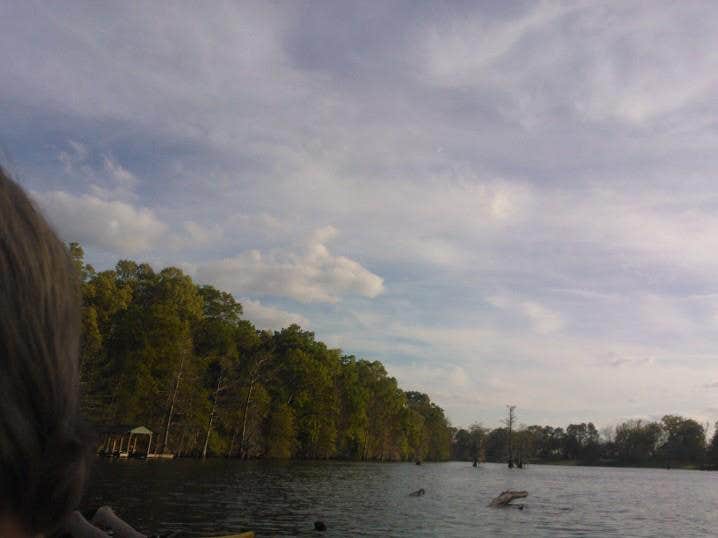 Camper submitted image from Turkey Fork Rec Area - 3