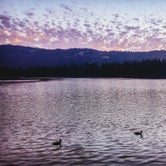 Review photo of Hume Lake by Heather L., May 24, 2020