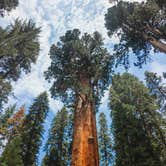 Review photo of Sequoia National Forest Hume Lake Campground by Heather L., May 24, 2020