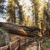 Review photo of Sequoia National Forest Hume Lake Campground by Heather L., May 24, 2020