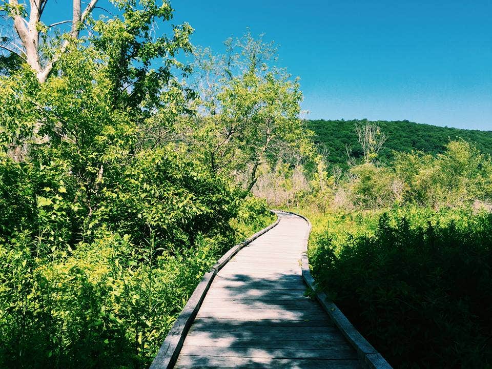 Camper submitted image from Chewalla Lake Recreation Area - 5