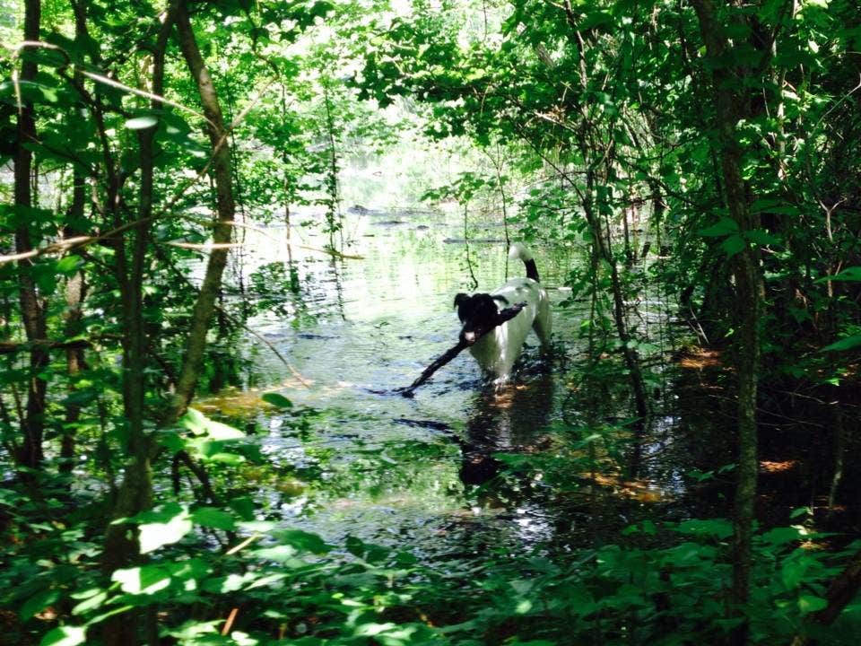 Camper-submitted photo at Davis Bayou Campground — Gulf Islands National Seashore in Mississippi