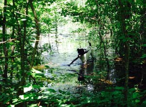 Davis Bayou Campground — Gulf Islands National Seashore