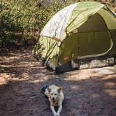 Review photo of June Lake Campground by Heather L., May 24, 2020