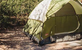 Heather L.'s photo of camping with pets at June Lake Campground near Bridgeport, CA