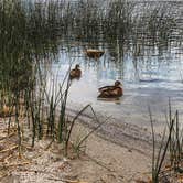 Review photo of June Lake Campground by Heather L., May 24, 2020