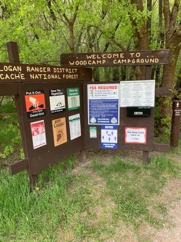 Camper-submitted photo at Wood Camp Campground (Ut) — Uinta Wasatch Cache National Forest near Smithfield, UT