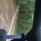 Review photo of Withlacoochee State Forest - Annutteliga Hammock Trail by Alyssa D., May 24, 2020