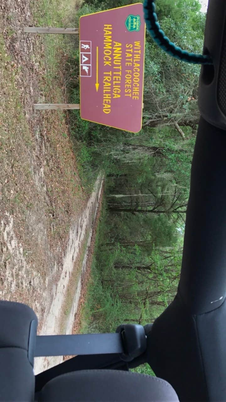 Camper submitted image from Withlacoochee State Forest - Annutteliga Hammock Trail - 3
