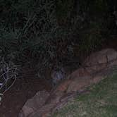 Review photo of Catalina State Park Campground by Amber A., June 30, 2016