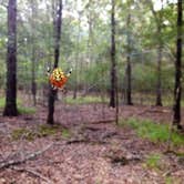 Review photo of Wall Doxey State Park Campground by Lynn G., September 30, 2017