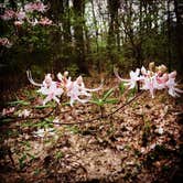 Review photo of Wall Doxey State Park Campground by Lynn G., September 30, 2017