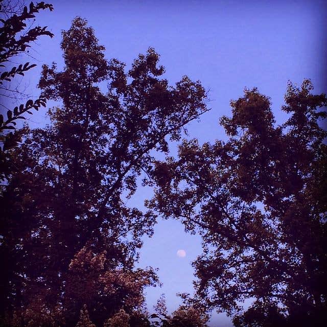 Camper-submitted photo at Airpark North Campground — Reelfoot Lake State Park near Dyersburg, TN